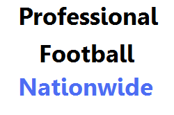 MsEllen Sports - Pro Football Nationwide Party